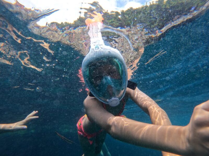 From Fazana: Rovinj full day Private boat tour - Starting from Fazana: A Luxurious Morning Departure