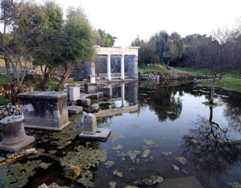 From Fethiye: Dalyan Day Trip with Mud Bath and Turtle Beach - Honest Considerations and Potential Drawbacks