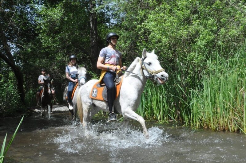 From Fethiye: Horse Riding Adventure - Convenient Hotel Pickup and Drop-Off Service
