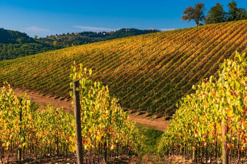 From Florence: Chianti Hills Half-Day Tour with Wine Tasting - Radda in Chianti and the Return Journey