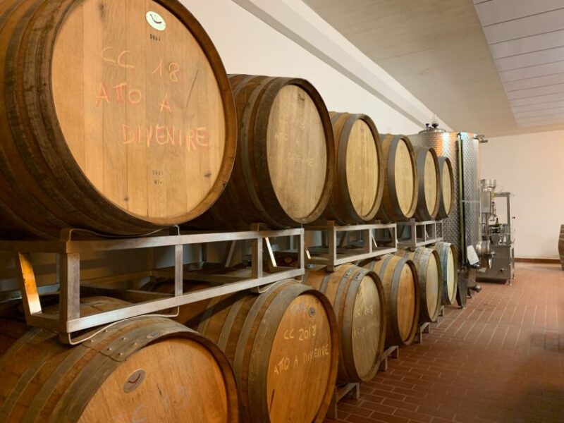 From Florence: Chianti Hills Half-Day Tour with Wine Tasting - The Quality and Value of This Chianti Experience