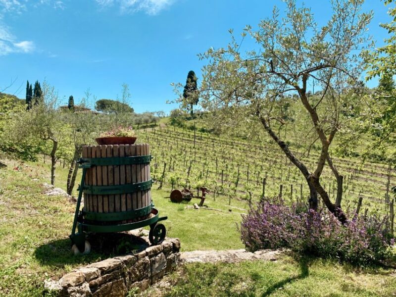 From Florence: Chianti Hills Wineries Tour with Tasting - Sampling Regional Wines and Tuscan Products