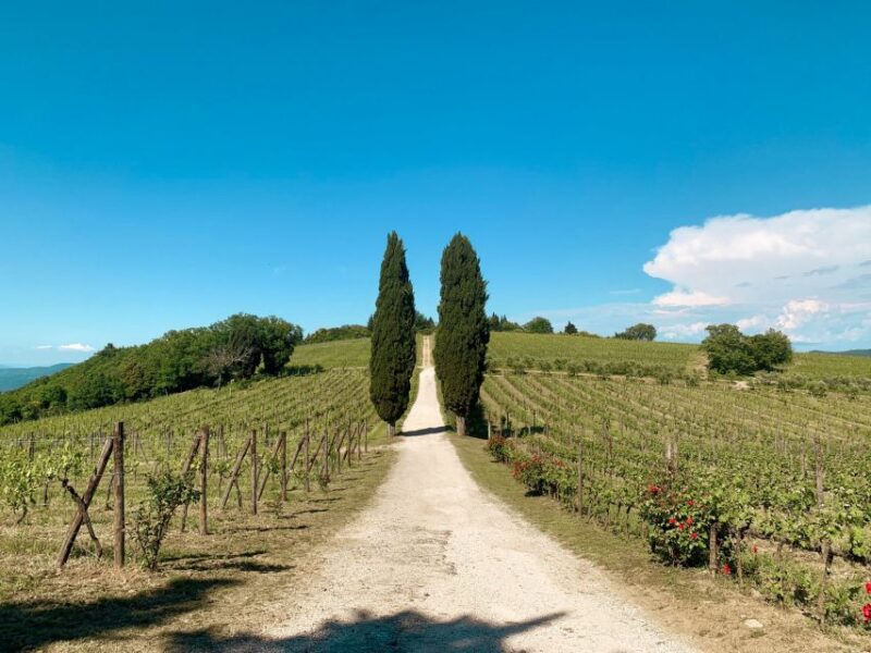 From Florence: Chianti Hills Wineries Tour with Tasting - Guides and Overall Experience