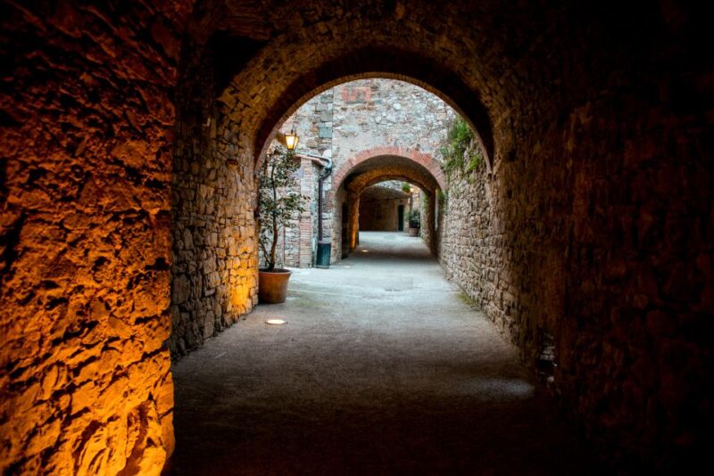 From Florence: Chianti Hills Wineries Tour with Tasting - Who Will Appreciate This Tour