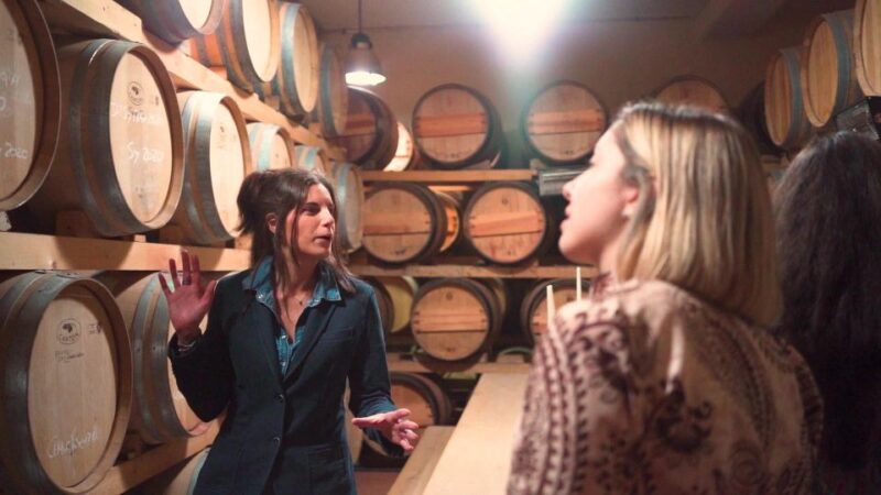 From Florence: Chianti Tour with Two Wine and Food Tastings - The Guide’s Role and Tour Atmosphere