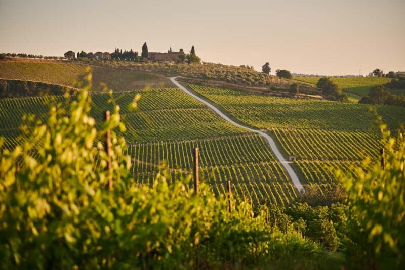 From Florence: Chianti Wine Tour with Driver-Guide - Comparing This Tour to Similar Options