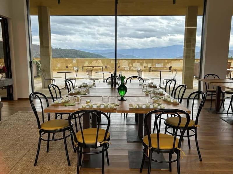 From Florence: Olive Oil Mill Tour and Tasting in Fiesole - Exploring the Cesare Buonamici Olive Oil Mill and Its History