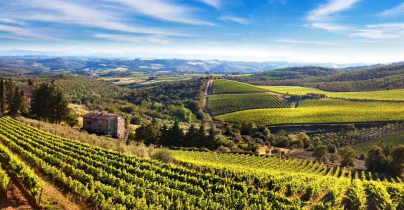 From Florence: Private Half-Day Chianti Tour & Wine Tasting - The Private Wine Tasting: Fine Wines and Local Flavors