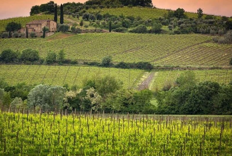 From Florence: Private Montalcino & Montepulciano Wine Tour - The Sum Up: An Elegant and Insightful Wine Journey
