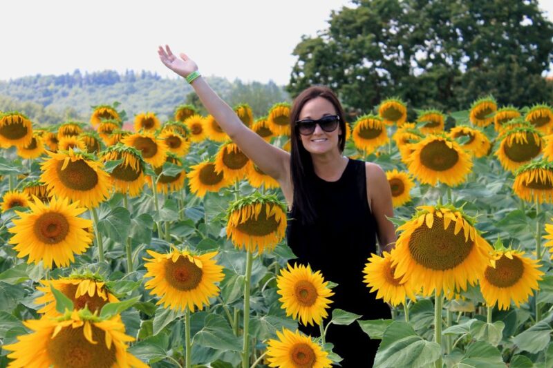 From Florence: Siena, Cortona, Montepulciano & Val D'Orcia - Marvel at the Val dOrcia Landscape