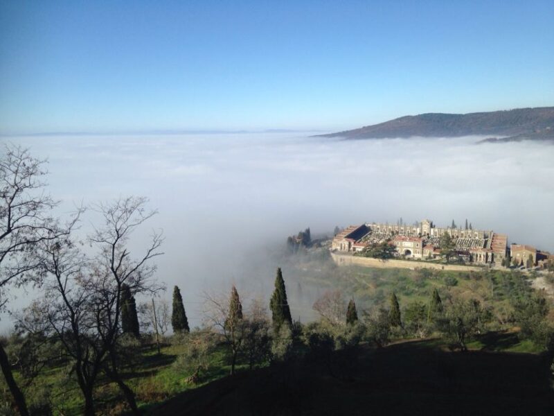 From Florence: Siena, Cortona, Montepulciano & Val D'Orcia - Why Choose This Tour Over Others?