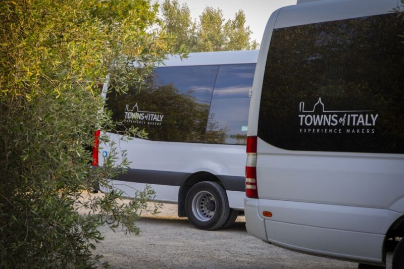 From Florence: Siena, San Gimignano and Pisa day trip - Key Points