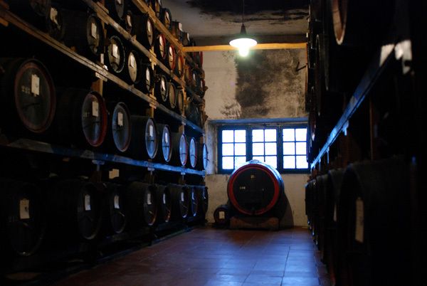 From Florence: Siena, San Gimignano & Chianti - Return and Reflection at Piazza Adua