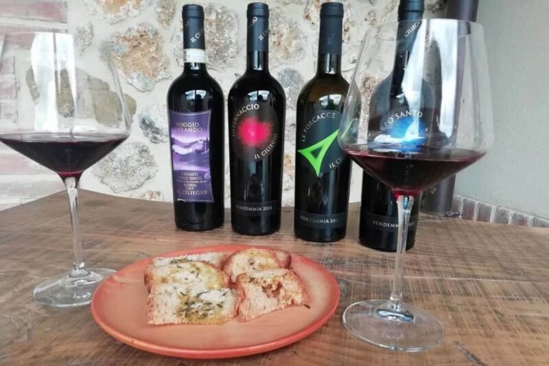 From Florence: Siena & San Gimignano Tour with Chianti Views - Scenic Drive through Chiantis Vineyards and Olive Groves