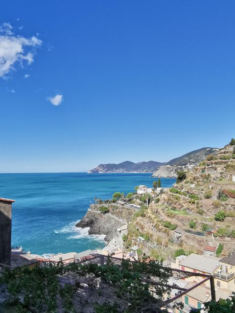 From Florence: Small-group to Cinque Terre and Pisa Day Tour - Practical Logistics and Group Size Benefits