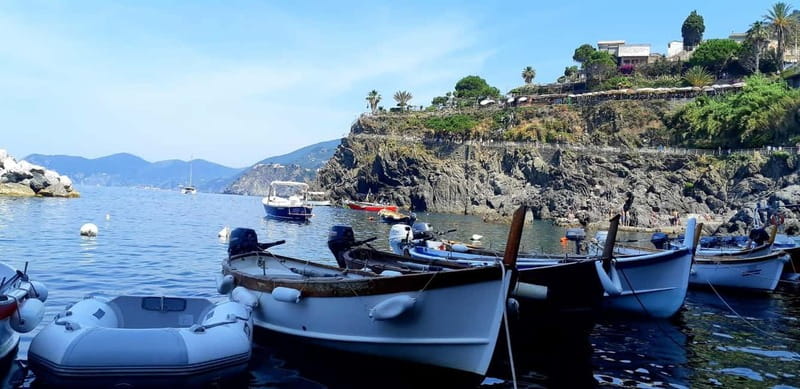 From Florence: Small-group to Cinque Terre and Pisa Day Tour - Physical Requirements and Accessibility