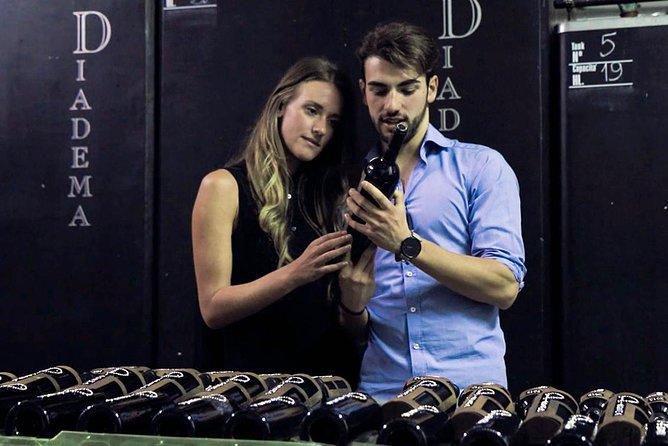 From Florence: Small-Group Tuscany Wine & Oil Tour with typical Tuscan Meal - Lunch and Wine Tasting at Diadema Cooking School