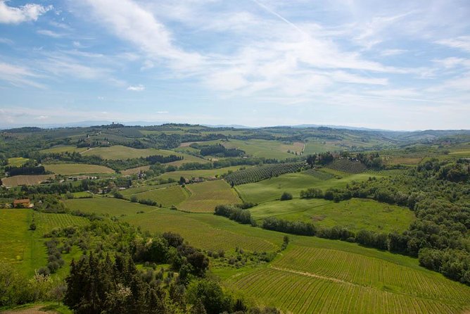 From Florence: Small-Group Tuscany Wine & Oil Tour with typical Tuscan Meal - Small-Group Experience and Expert Guides