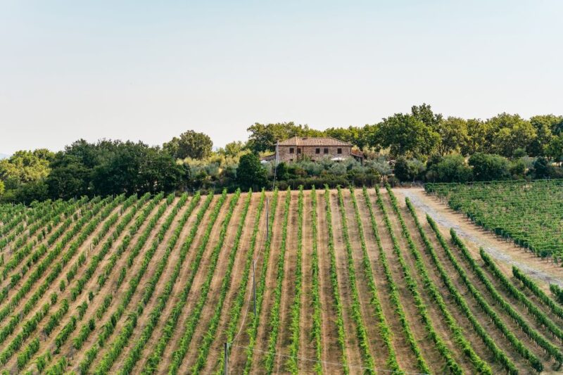 From Florence: Small Group Wine Tasting Tour to Tuscany - Practical Details and Group Comfort