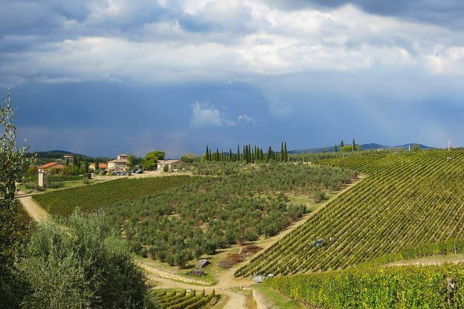 From Florence to Siena - San Gimignano & Pisa by private minivan - Transportation: Comfortable but Notably Rough Ride