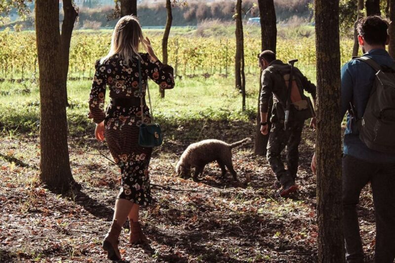 From Florence: Truffle Hunting with Lunch & Transportation - The Experience Provider: Tenuta Torciano Winery