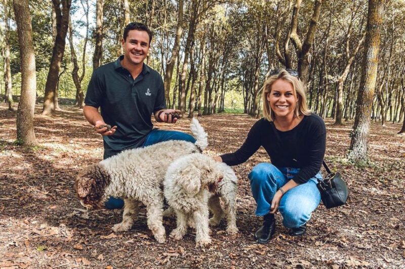 From Florence: Truffle Hunting with Lunch & Transportation - Final Thoughts on the Florence Truffle Hunt Tour