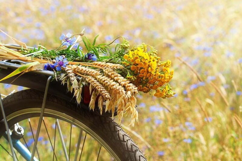 From Florence: Tuscany by Bike with Lunch and Wine Tasting - Practicalities and Tips for Participants