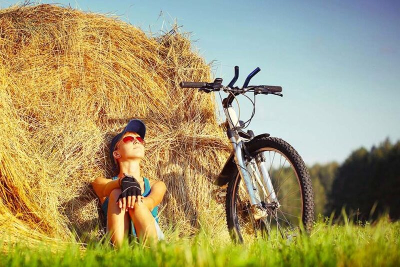 From Florence: Tuscany by Bike with Lunch and Wine Tasting - Comparing Experience and Value