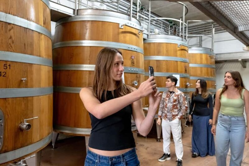 From Florence: Tuscany, Siena, San Gimignano & Winery Lunch - Lunch at the Heart of Tuscany’s Vineyards