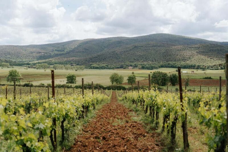 From Florence: Ultimate Tuscany Day Trip with Wine & Lunch - An Overview of the Ultimate Tuscany Day Trip from Florence