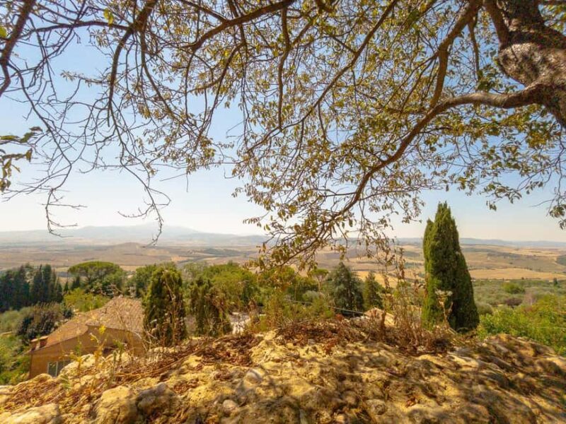 From Florence: Val D'Orcia Tour with Wine Tasting - Key Points