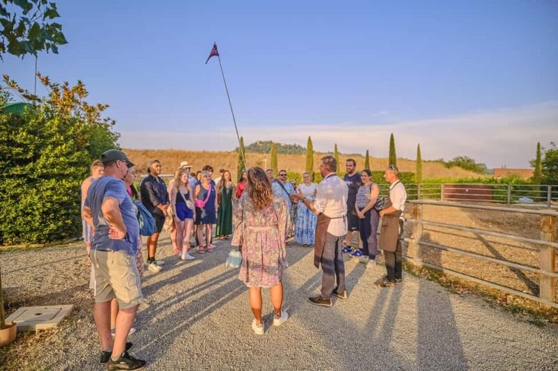 From Florence: Wine Tasting and Dinner in Chianti Vineyards - Practical Details: Meeting Point, Transportation, and Accessibility