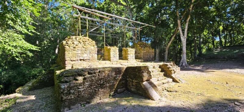 From Flores: Yaxha + Topoxte All-Inclusive Private - Tour Logistics: Transportation and Schedule