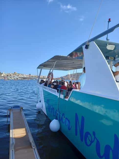 From Fornells: North Coast Beaches Cruise with Swim Stops - Visiting Cala Mica: A Tiny Shell-Shaped Cove