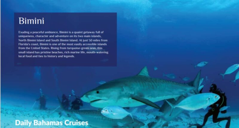 From Fort Lauderdale: Bimini Island Day Trip by Ferry - Practical Details: What to Bring and Safety Tips