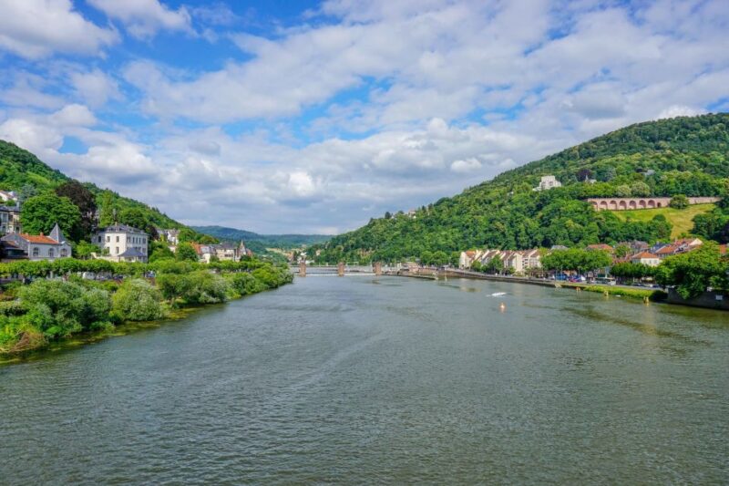 From Frankfurt: Heidelberg, Castle and Old City Guided Tour - Pacing, Free Time, and Tour Flow