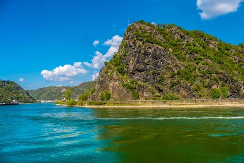 From Frankfurt: Rhine Valley Day Trip - Wine Tasting and Regional Insights