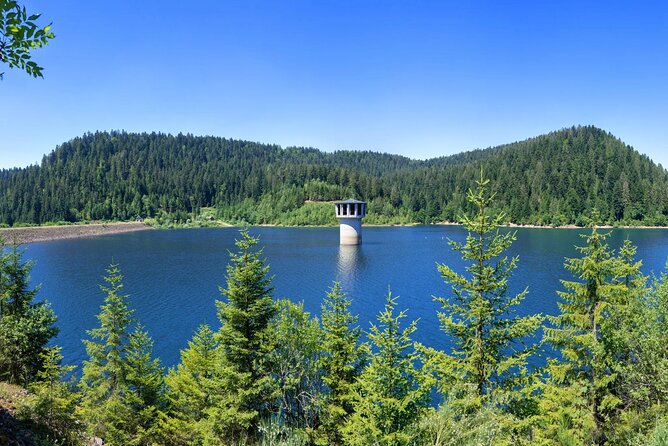 from Frankfurt - romantic Black Forest & brewery, private tour - Exploring the Medieval Kloster Allerheiligen Ruins