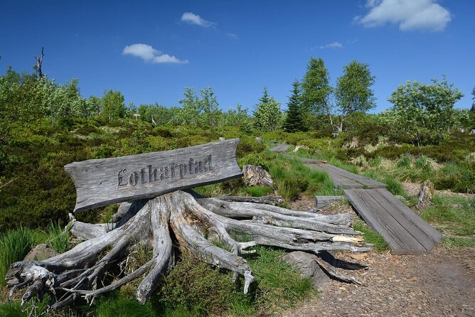 from Frankfurt - romantic Black Forest & brewery, private tour - Witnessing the Allerheiligen Waterfalls