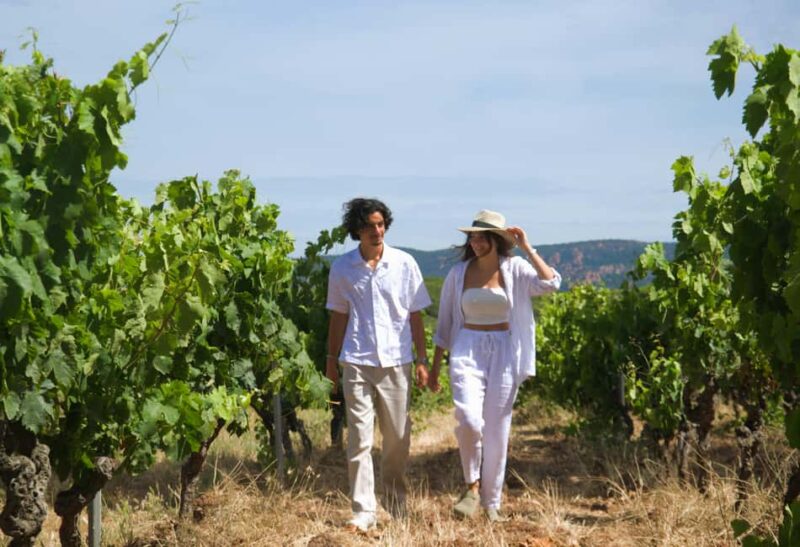 From Fréjus: Van tour to the heart of the Provençal vineyards - Tasting Experience Guided by a Sommelier