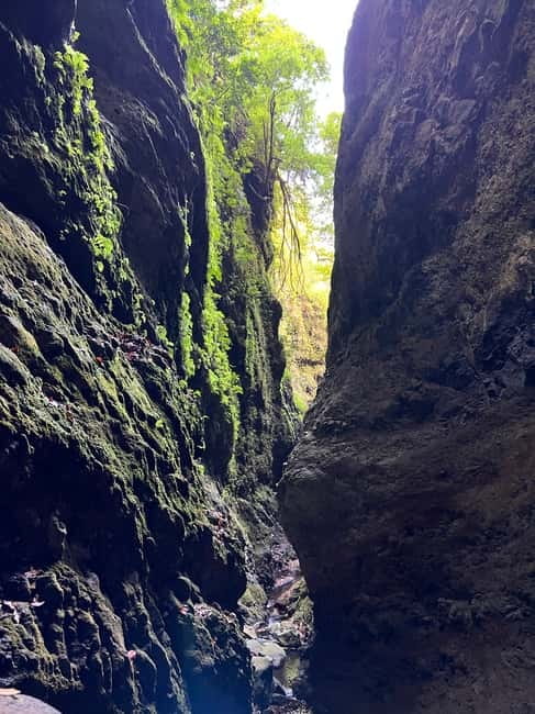 From Funchal: Advanced Canyoning Experience in Madeira - Who Will Enjoy This Tour the Most