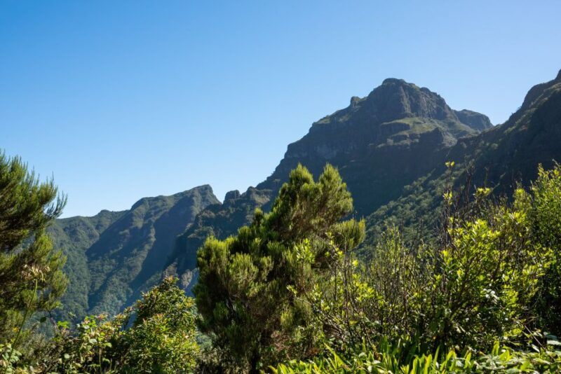 From Funchal: Best of Madeira's West Tour - Return to Funchal with Scenic Views