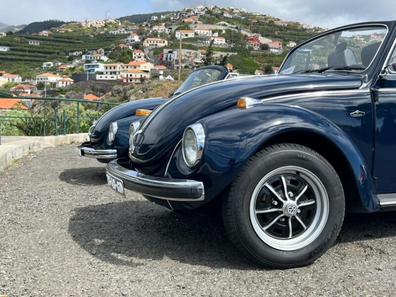 From Funchal: Cabo Girão & Poncha Tasting by Classic VW - Practical Details: Transportation, Group Size, and Accessibility