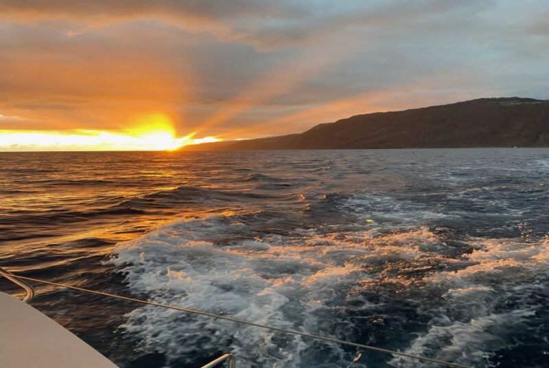 From Funchal: Cabo Girao Sunset Cruise on Luxury Catamaran - Comfort and Practical Tips for the Cruise