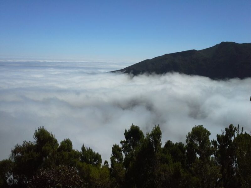 From Funchal: East Tour Madeira 4x4 Jipe Tour Santana Houses - Discovering Faial: A Coastal Village Charm