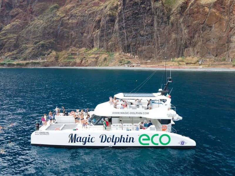 From Funchal: Ecological Catamaran Dolphin Whale Watching - Embarking from Funchal Marina for a Scenic Coastal Cruise