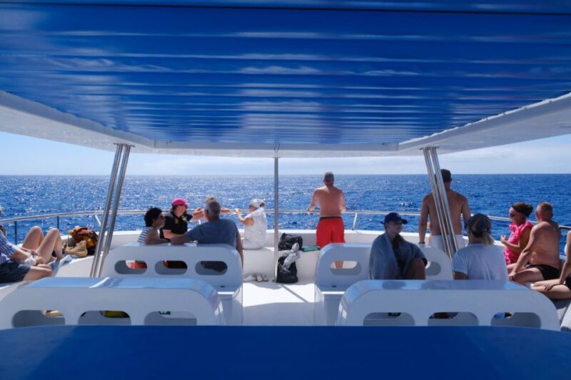 From Funchal: Ecological Catamaran Dolphin Whale Watching - The Swim Stop at Cabo Girão: A Refreshing Addition