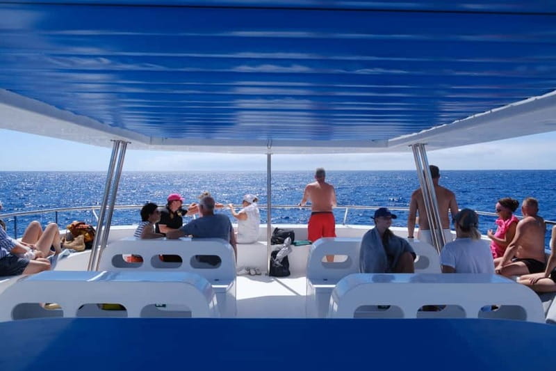 From Funchal: Ecological Catamaran Dolphin Whale Watching - Modern Safety and Comfort Features of the Eco-Catamaran