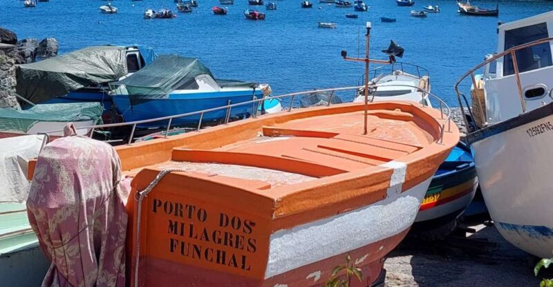 From Funchal: Eucalyptus Forest Guided 4x4 Tour - Discover Madeira’s Eucalyptus Forest on a 4x4 Adventure from Funchal