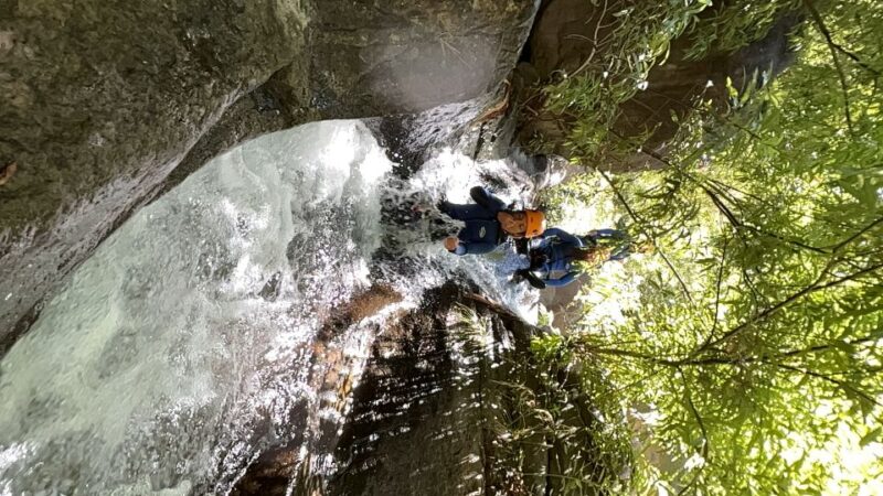 From Funchal: Intermediate Canyoning Adventure (Level 2) - The Unique Location: Canyons and Streams of Madeira